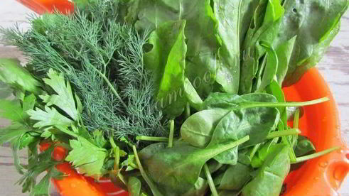 зеленый борщ со шпинатом и щавелем