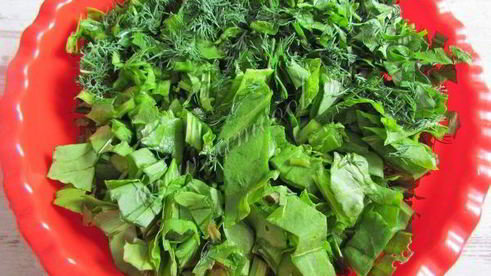 зеленый борщ со шпинатом и щавелем