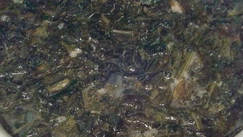 зеленый борщ улыбка лета