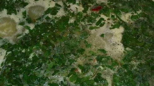 чесночный суп