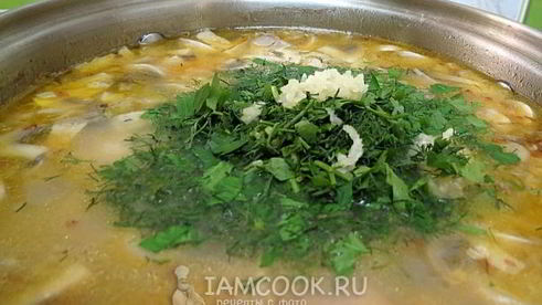 гречневый суп с грибами и курицей