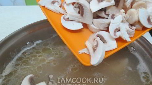 гречневый суп с грибами и курицей