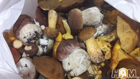 грибной крем-суп осенний