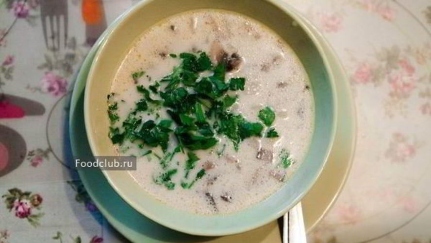 Рецепт грибной суп со сливками
