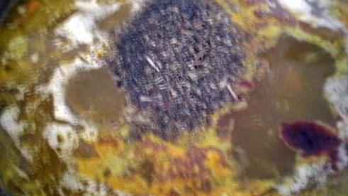 картофельный суп с чечевицей