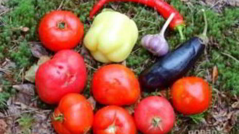 охотничий шулюм из дичи