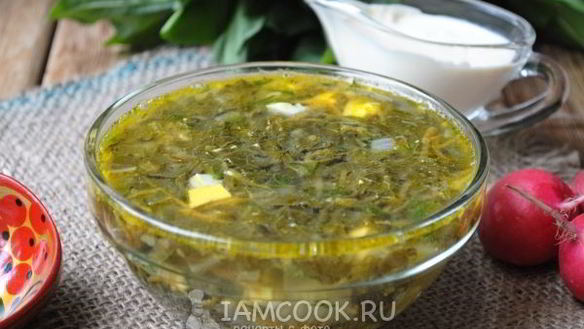 Рецепт Щи из щавеля на курином бульоне