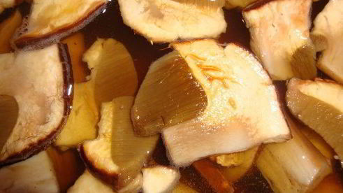 щи кислые грибные