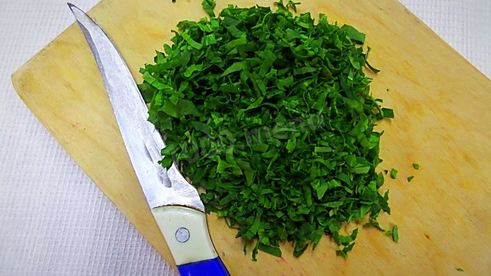 щи с зеленью шпината