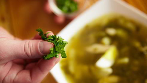 щи щавелевые