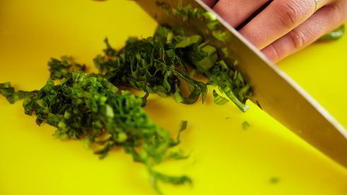 щи щавелевые