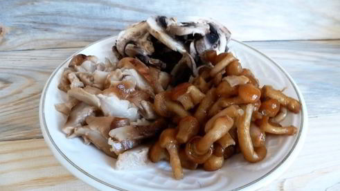 сборная грибная солянка