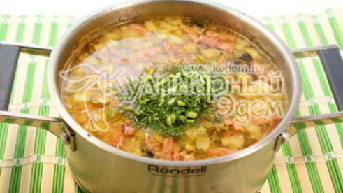 солянка сборная мясная