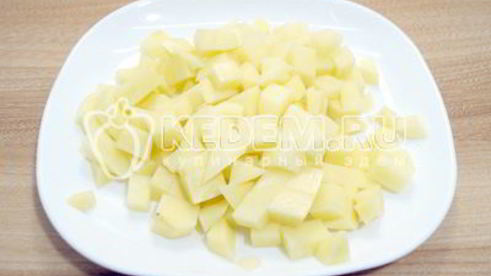 солянка сборная