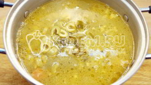 солянка сборная