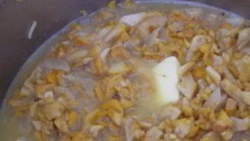 суп из лисичек замороженных