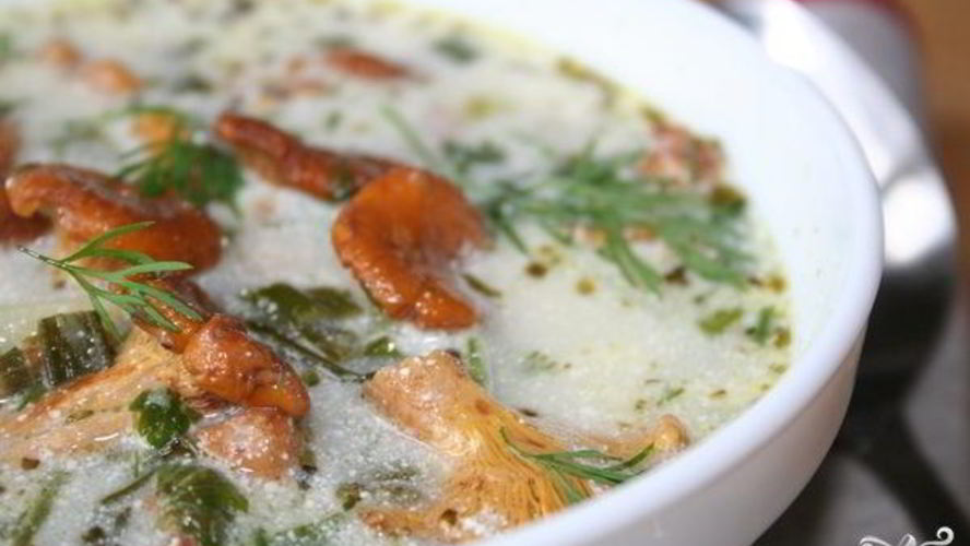 Рецепт супа иза сушеных лисичка