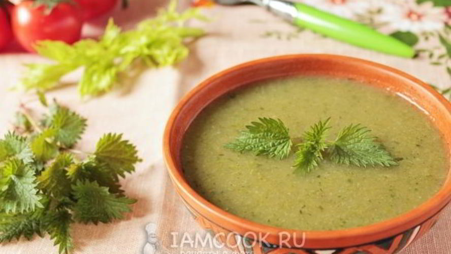 Рецепт суп-пюре из черешкового сельдерея с крапивой