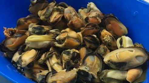 суп с мидиями и белорыбицей