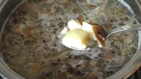 суп с шампиньонами и плавленым сыром