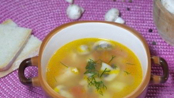 Рецепт Суп со свининой и грибами