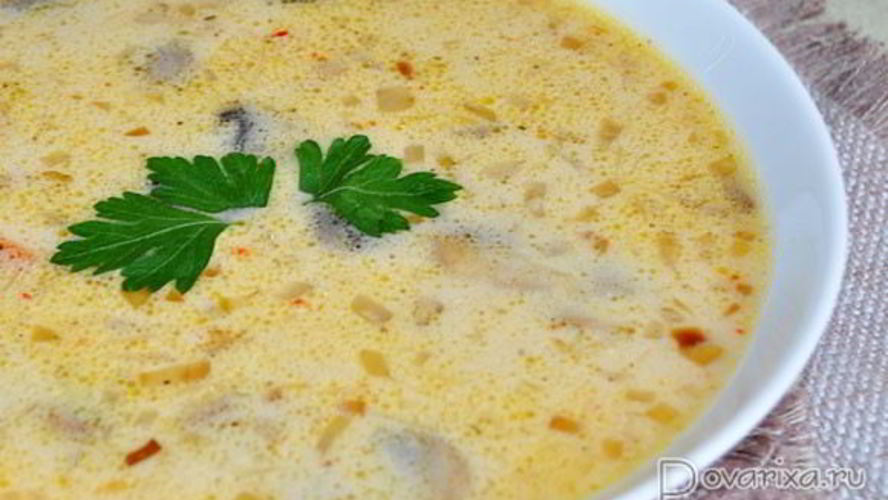 Рецепт сырный суп с грибами