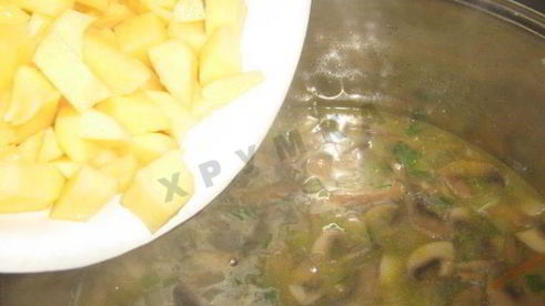 сырный суп с шампиньонами