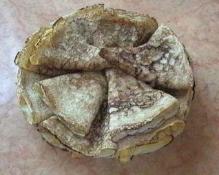 Постные блинчики с начинкой из картофеля