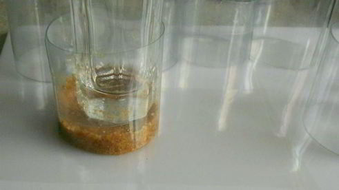 тройные ягодные чизкейки