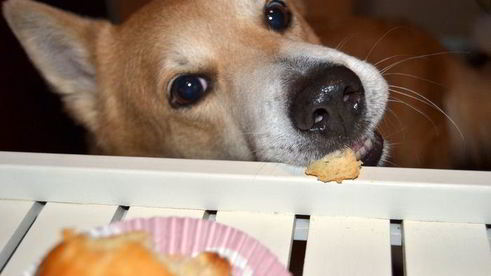 баба ромовая