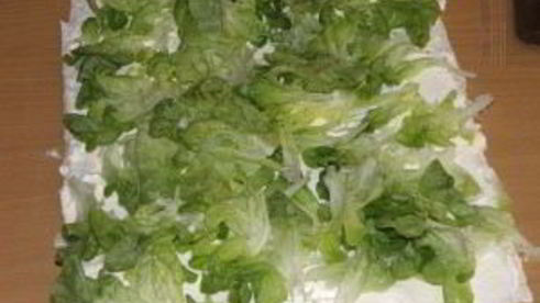 лаваш с семгой