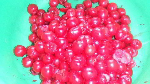 фокачча с вишней xxl