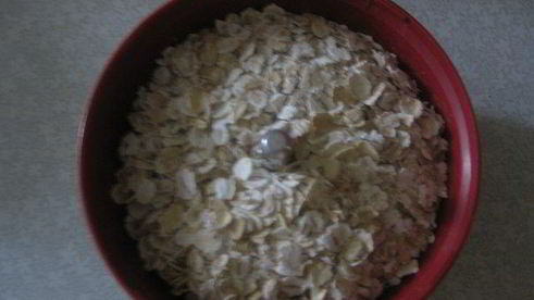 многозерновая лепешка с фруктами я ягодами