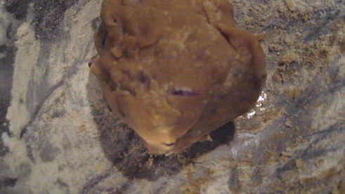 соевая лепешка с вешенками