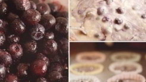 лимонные маффины с черникой