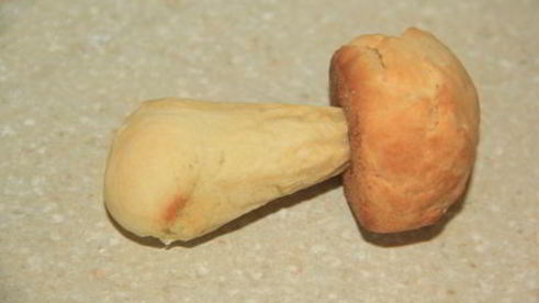 печенье лесные грибочки