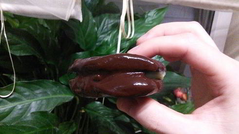 печенье шоколадное желание