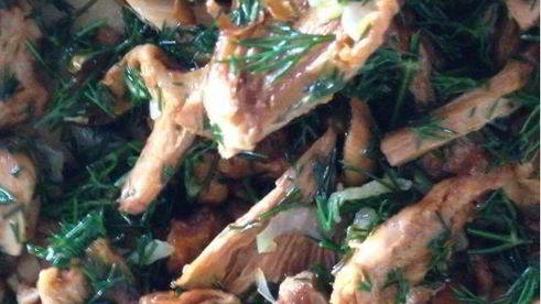 киш с лисичками