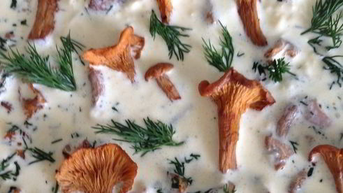 киш с лисичками