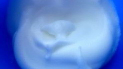 пирог с творогом в мультиварке