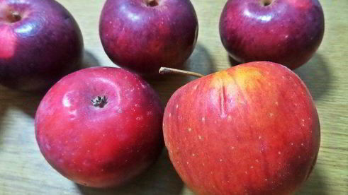 пирог яблочный без яиц