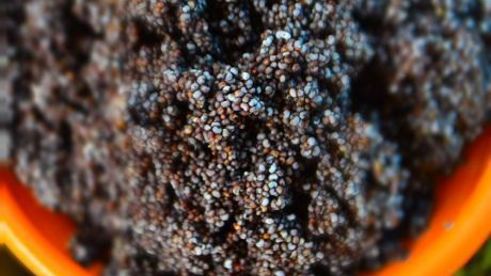 творожный пирог с маком