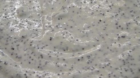 творожный пирог с маком