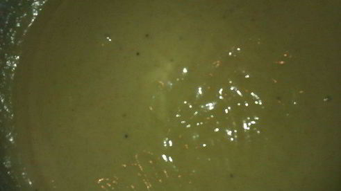 пирожное бисквитное фруктово-шоколадное