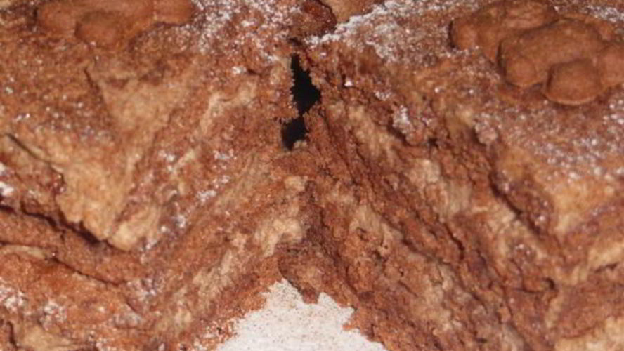 Рецепт шоколадное пирожное ангельское