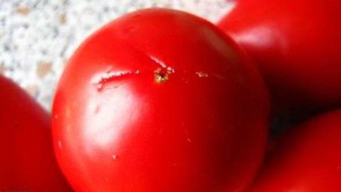 молниеносная пицца