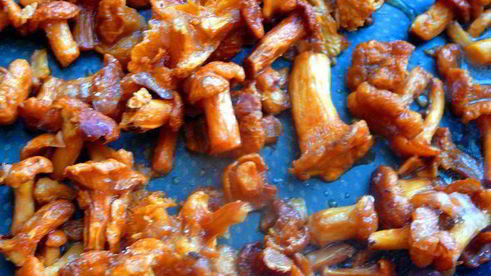 пицца из ржаного тестаохотничьяс лисичками и колбасками