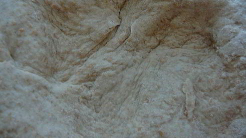 пицца из ржаного тестаохотничьяс лисичками и колбасками