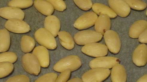 итальянская коврижка панфорте