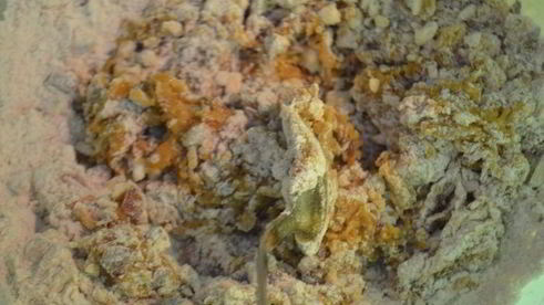 паровые пряники из цельнозерновой муки с медом и фундуком